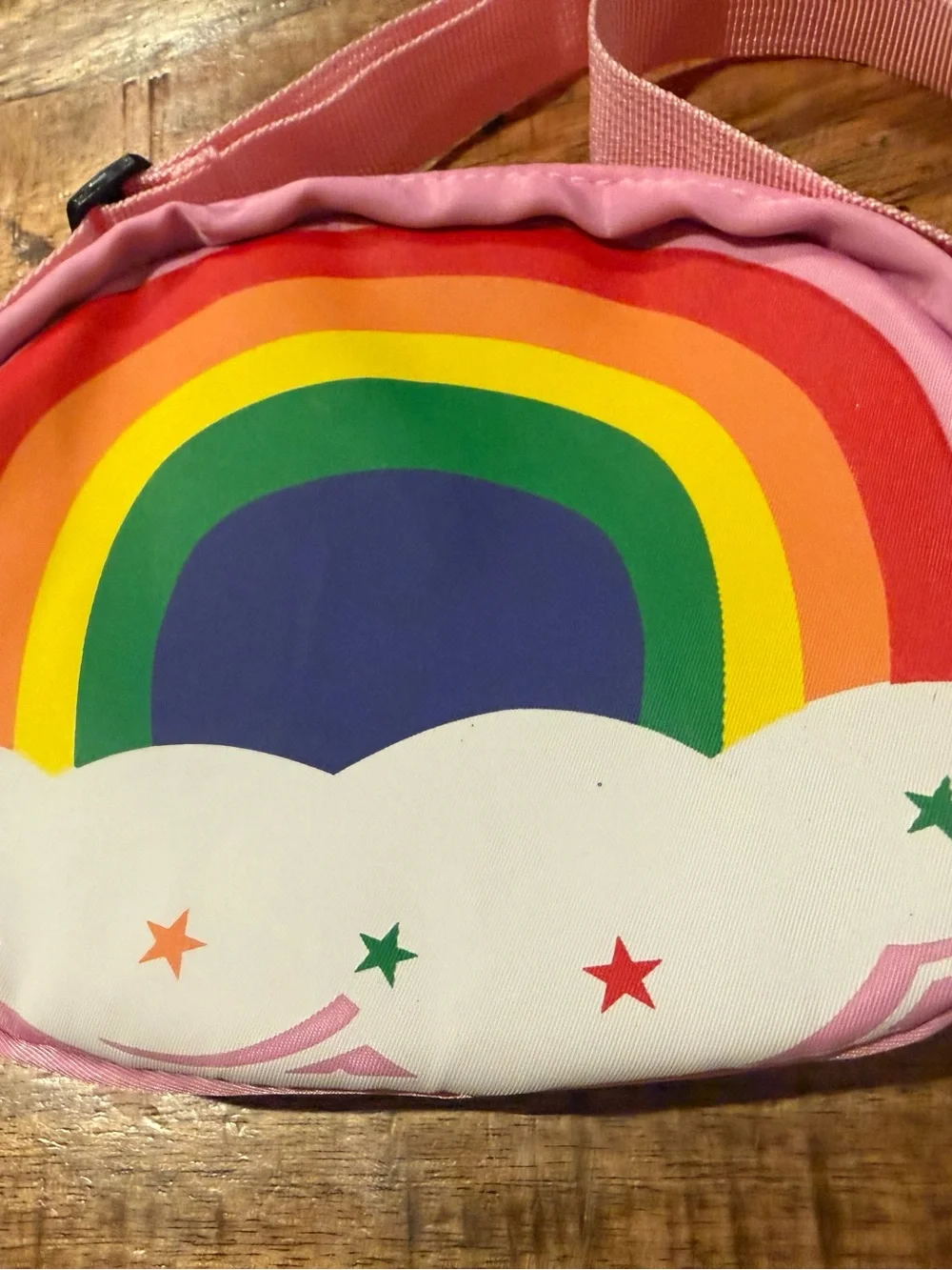 Rainbow Zip Around Convertible Bag